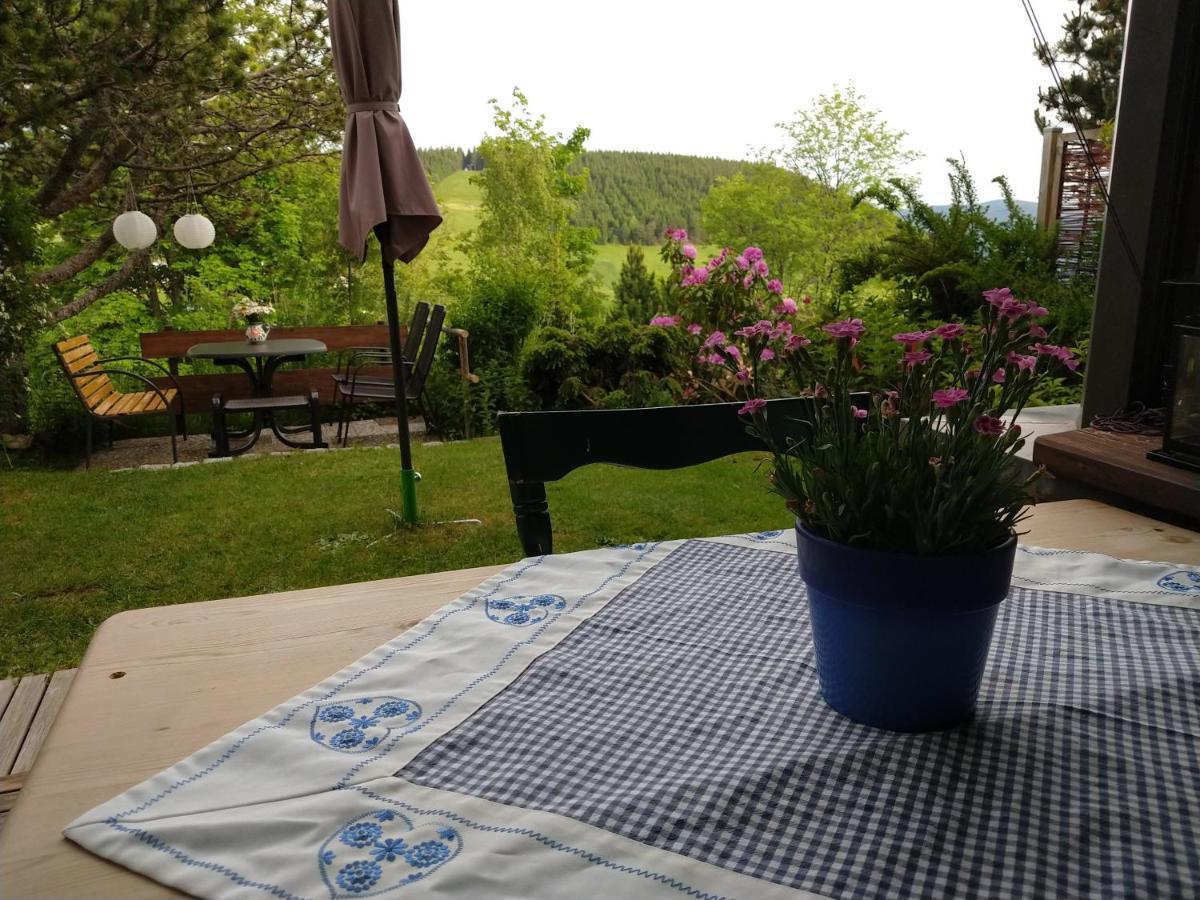 Schoene Aussicht Todtnau Εξωτερικό φωτογραφία
