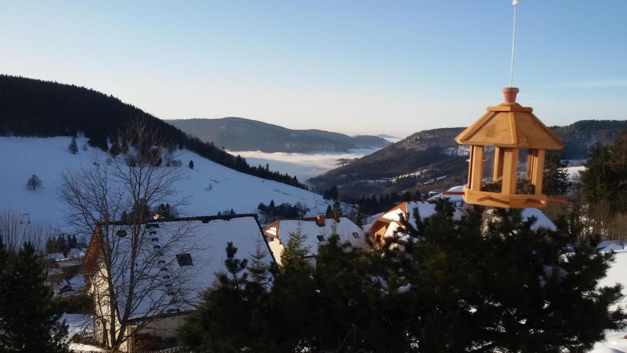 Schoene Aussicht Todtnau Εξωτερικό φωτογραφία