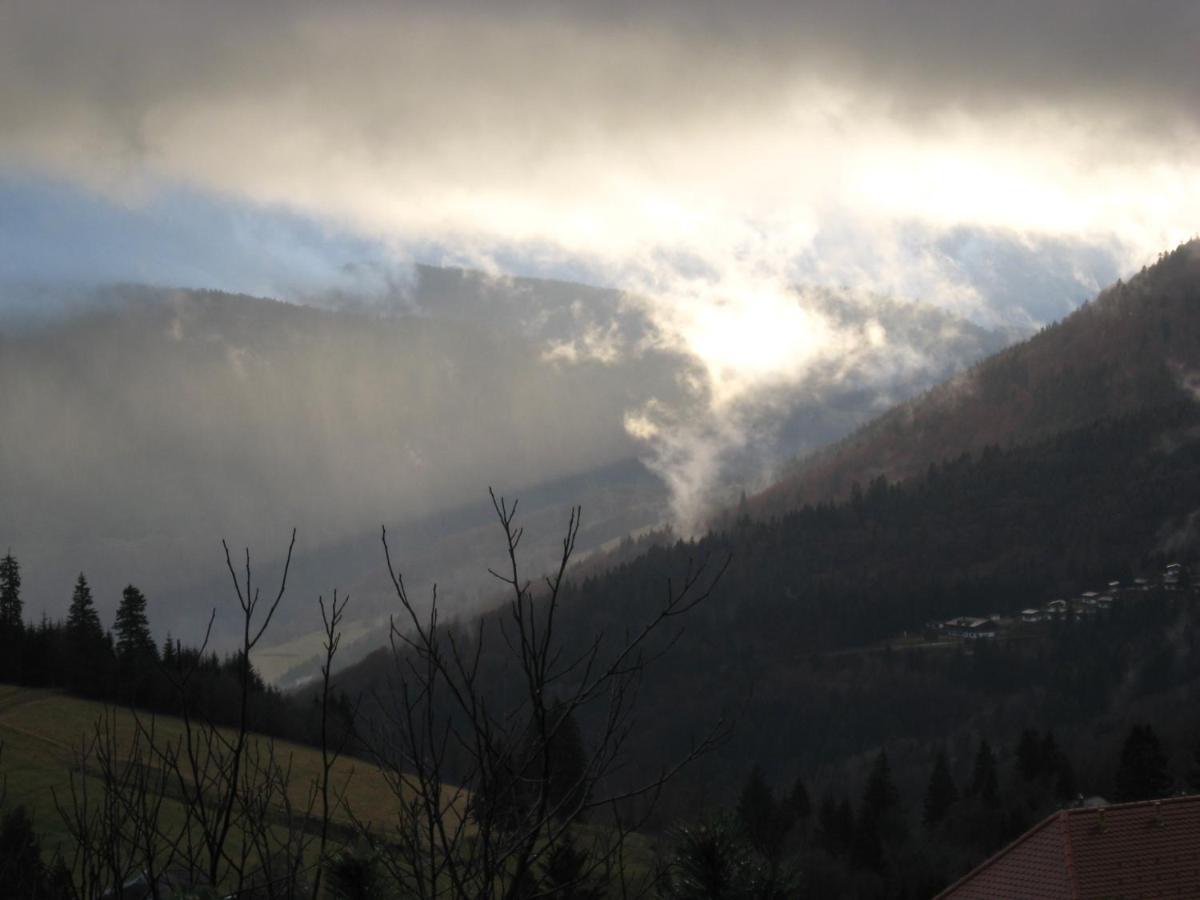 Schoene Aussicht Todtnau Εξωτερικό φωτογραφία