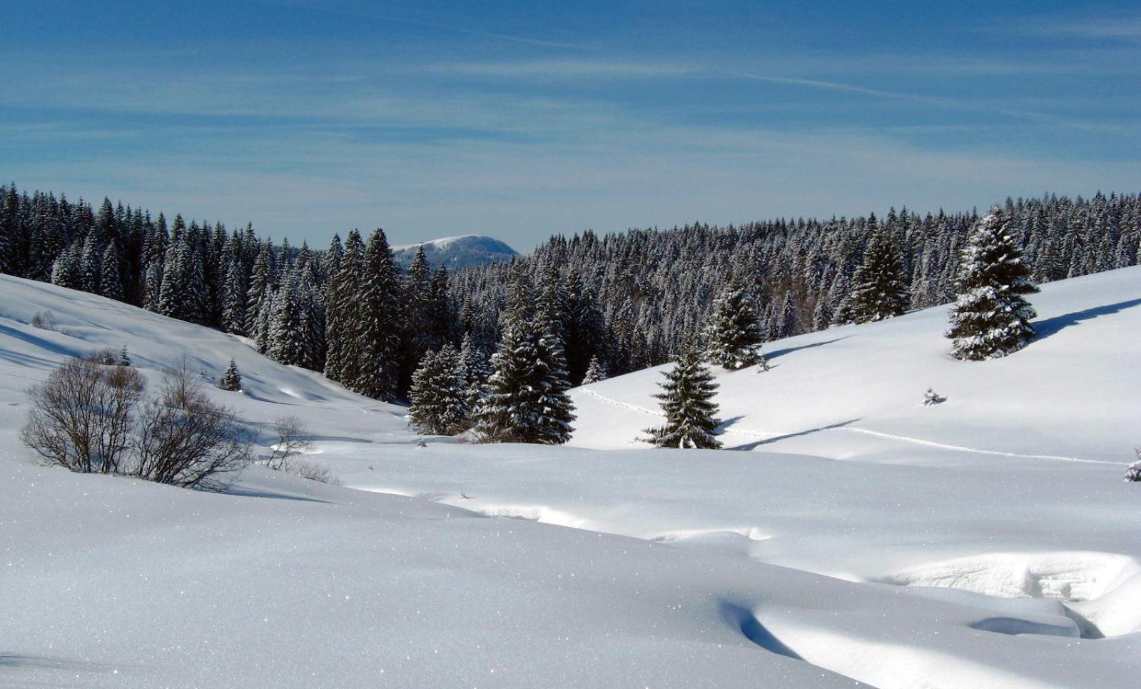 Schoene Aussicht Todtnau Εξωτερικό φωτογραφία