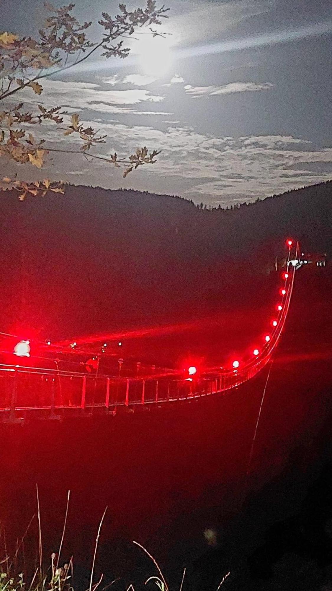 Schoene Aussicht Todtnau Εξωτερικό φωτογραφία